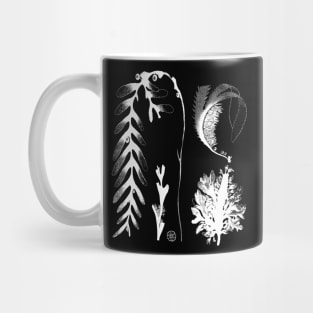 Botanical Seaweed Kelp Mug